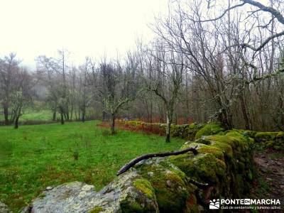 Valle del Ambroz-Sierra de Bejar - Gredos; excursiones y senderismo;silla de felipe ii el escorial